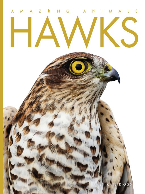 Title details for Hawks by Kate Riggs - Wait list